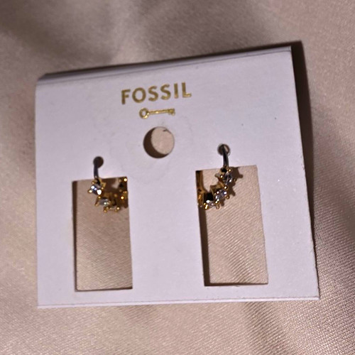 Fossil ohrstecker ohrringe - ohrstecker,
